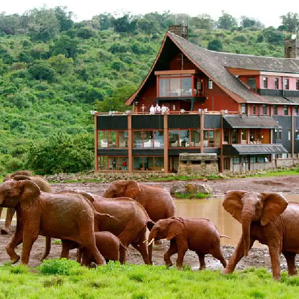 6 DAYS MASAI MARA / LAKE NAKURU/ SAMBURU PRIVATE SAFARI